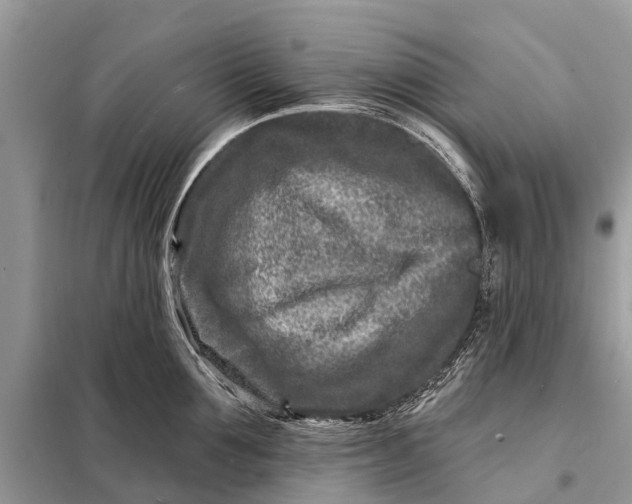 X0000098200907200805081108