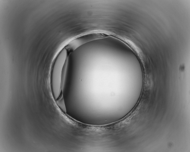 X0000098200910200805081108