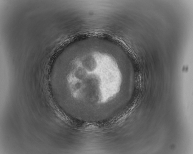 X0000098200913200805081107