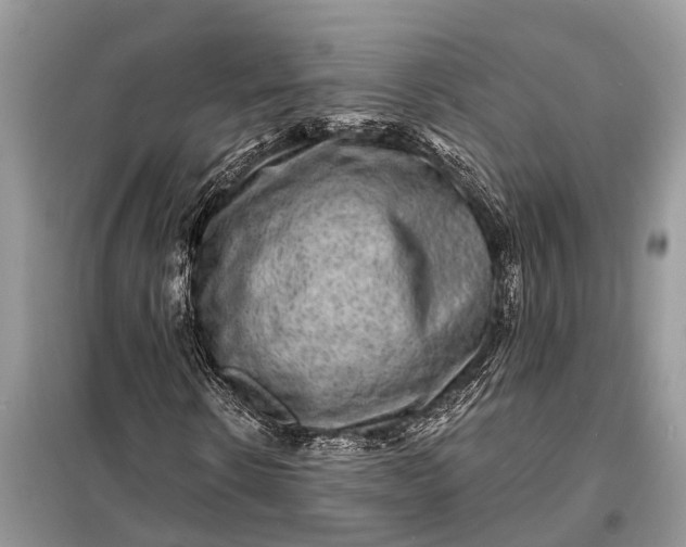 X0000098200914200805081107
