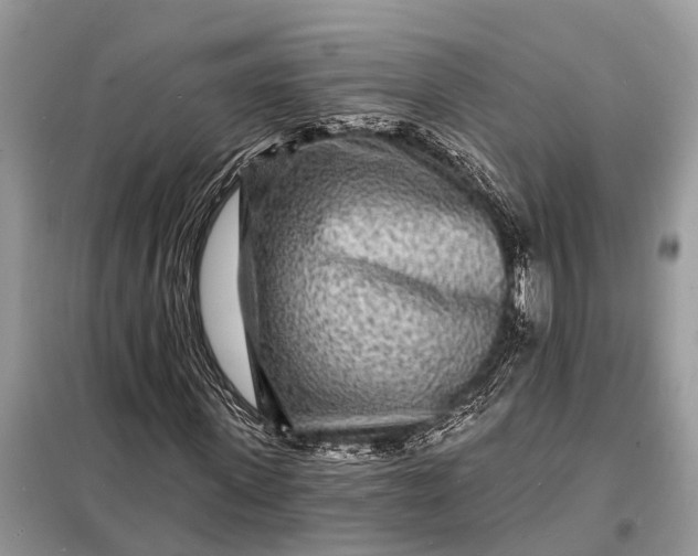 X0000098200915200805081107