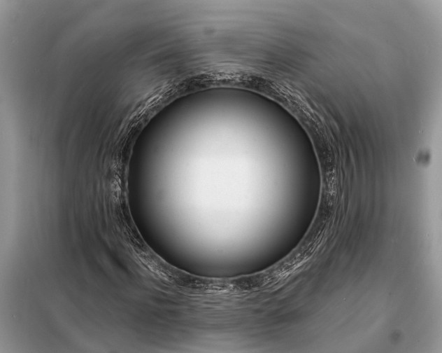 X0000098200916200805081108