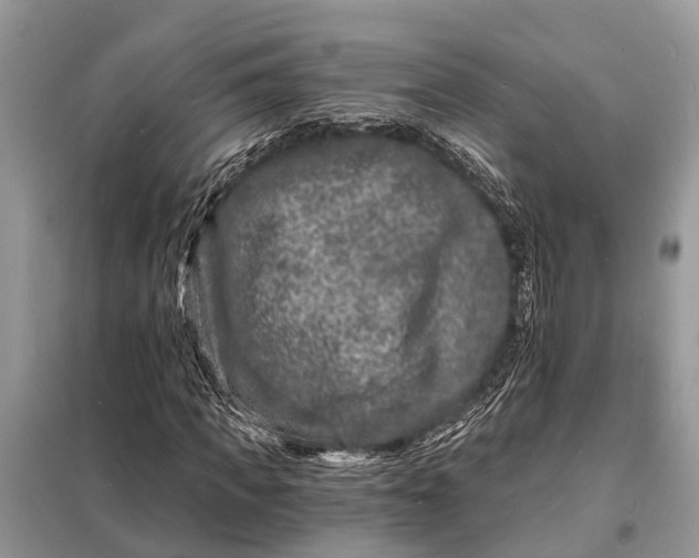 X0000098200917200805081108