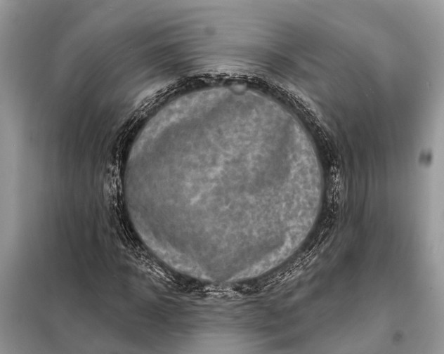 X0000098200918200805081108