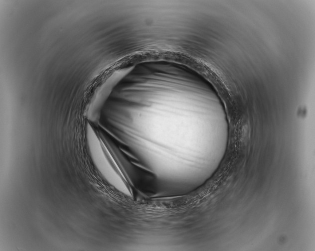 X0000098200919200805081108
