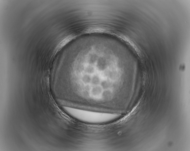 X0000098200921200805081108