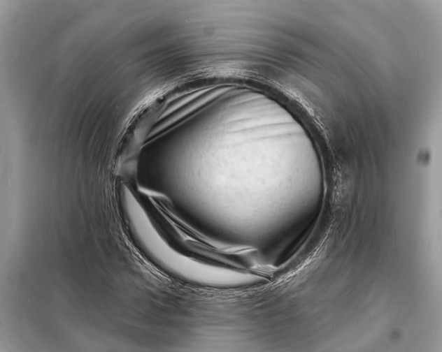 X0000098200922200805081108