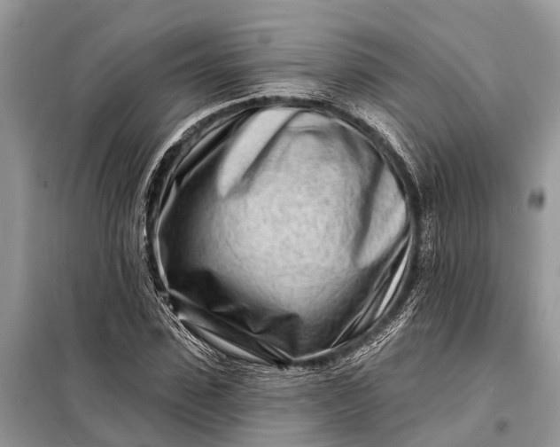 X0000098200923200805081108