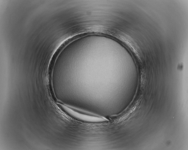 X0000098200924200805081108