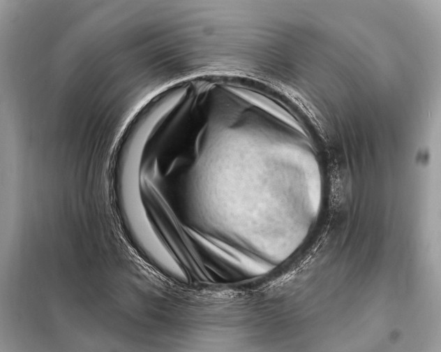 X0000098200926200805081108