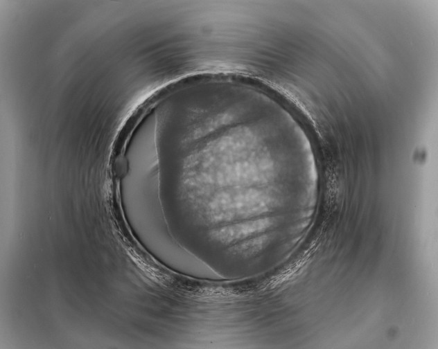 X0000098200927200805081108