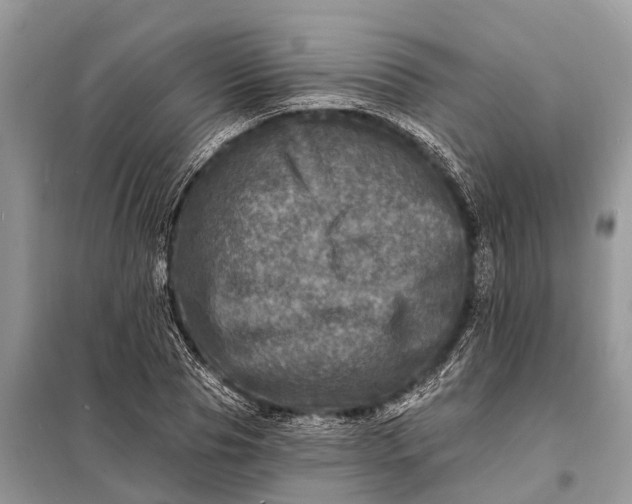 X0000098200929200805081108