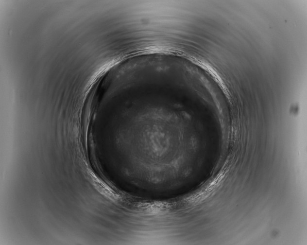 X0000098200930200805081108