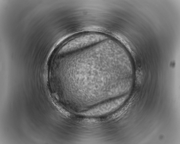 X0000098200931200805081108