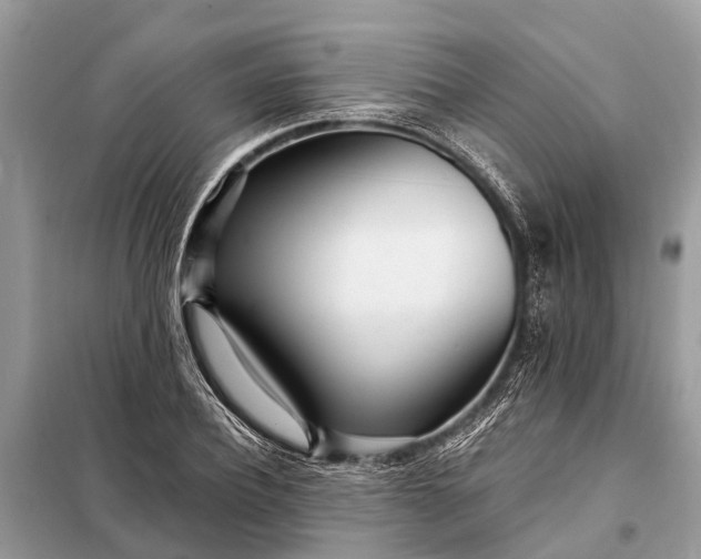X0000098200932200805081108