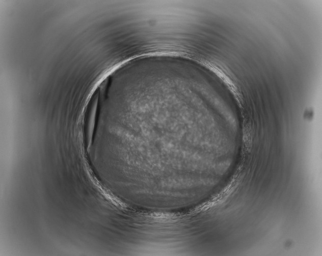 X0000098200933200805081108