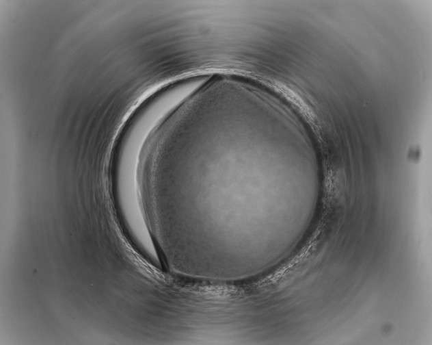 X0000098200934200805081108