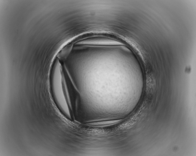 X0000098200935200805081108