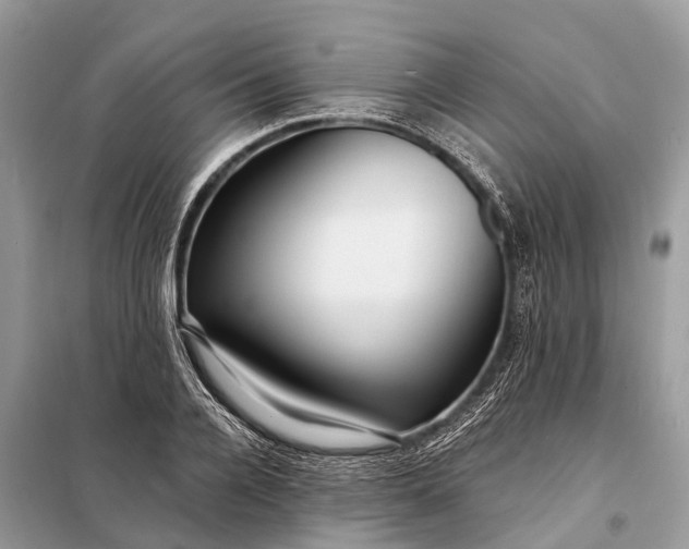 X0000098200936200805081108