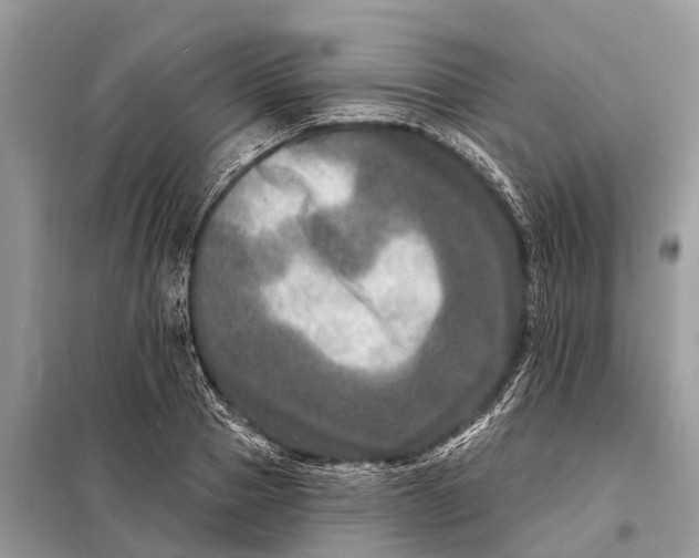 X0000098200937200805081108