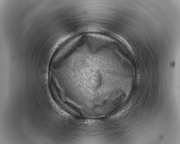 X0000098200938200805081108