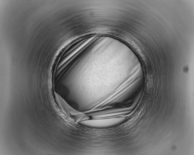 X0000098200939200805081108