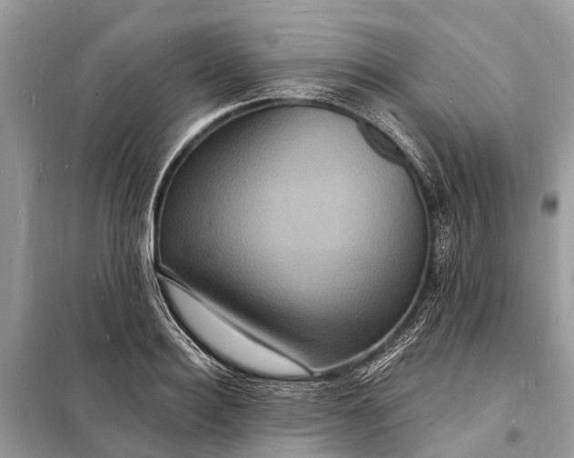 X0000098200940200805081108