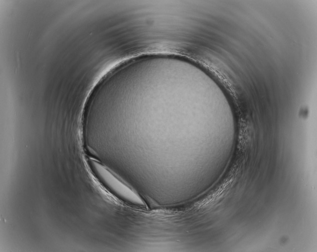 X0000098200942200805081108
