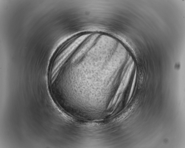 X0000098200943200805081108