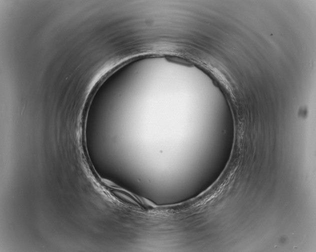 X0000098200944200805081108