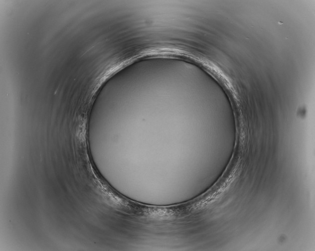 X0000098200945200805081108