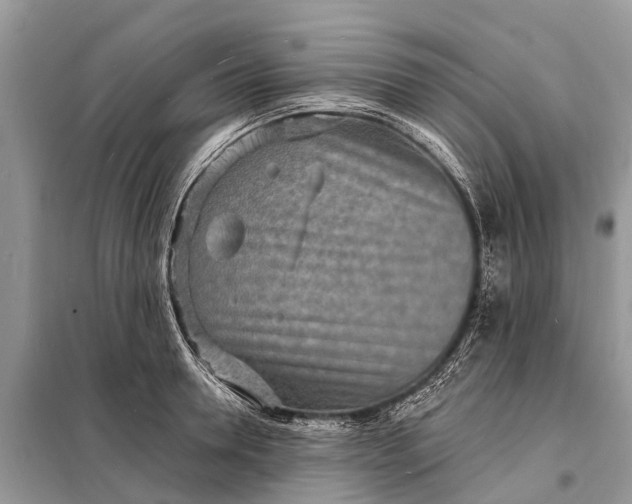 X0000098200946200805081108