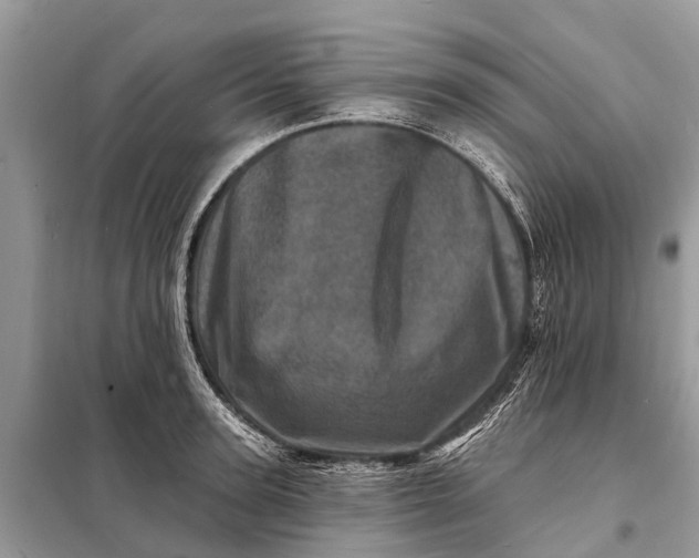X0000098200947200805081108