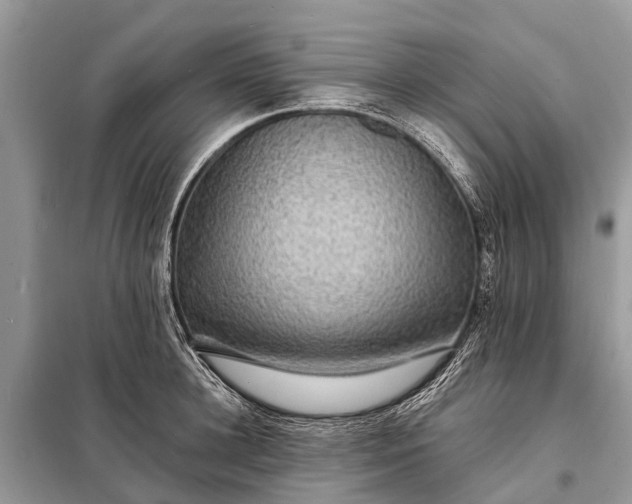 X0000098200948200805081108