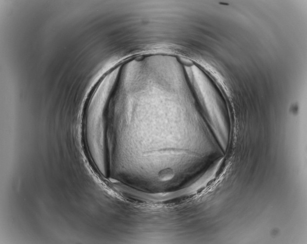 X0000098200949200805081108