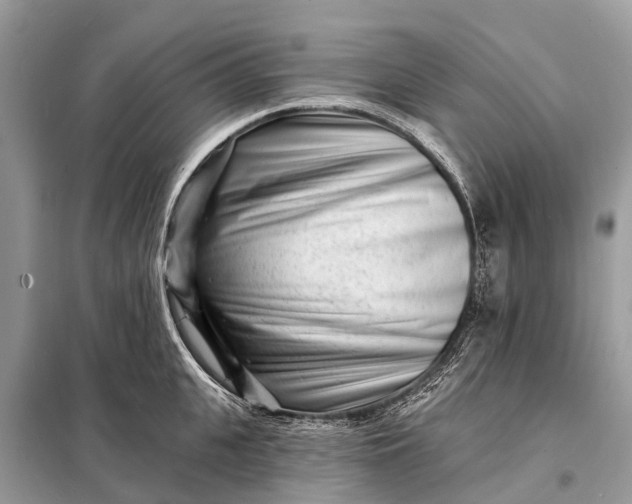 X0000098200951200805081108