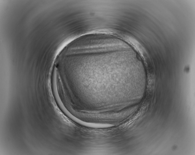 X0000098200952200805081108
