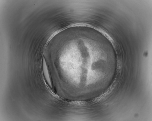 X0000098200953200805081108