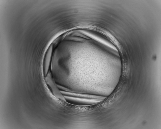 X0000098200955200805081108