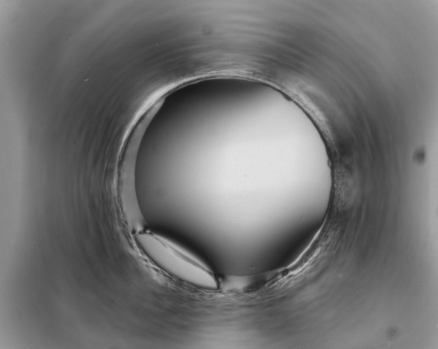 X0000098200956200805081108