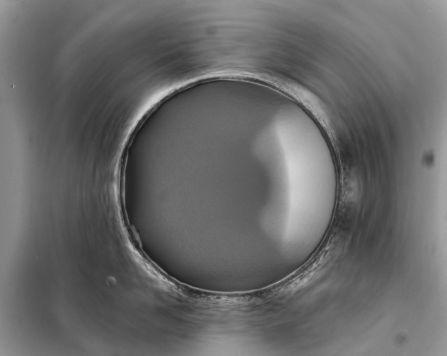 X0000098200958200805081108