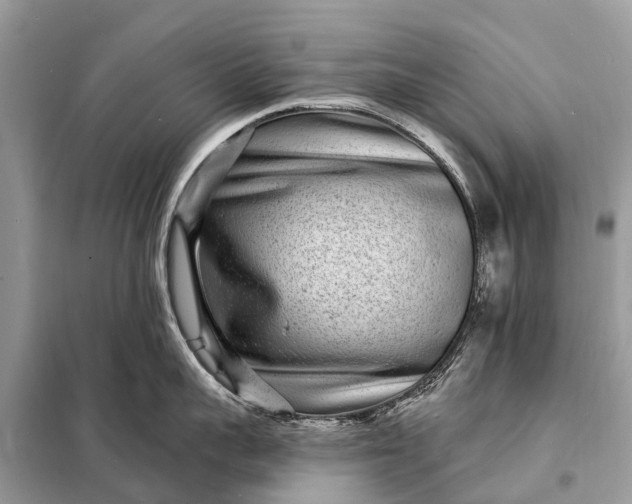 X0000098200959200805081108
