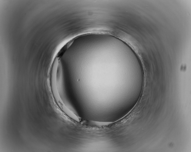 X0000098200960200805081108
