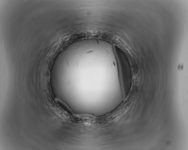 X0000098200961200805081107