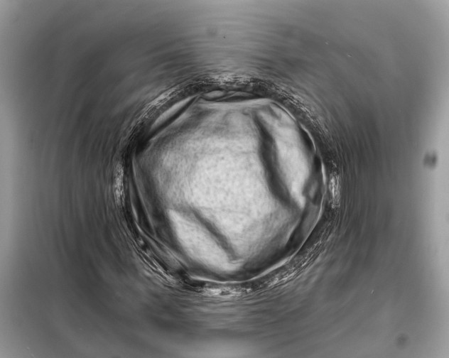 X0000098200963200805081107