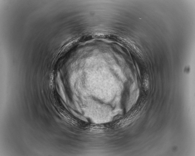 X0000098200964200805081107