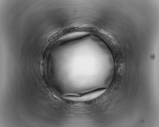 X0000098200966200805081107