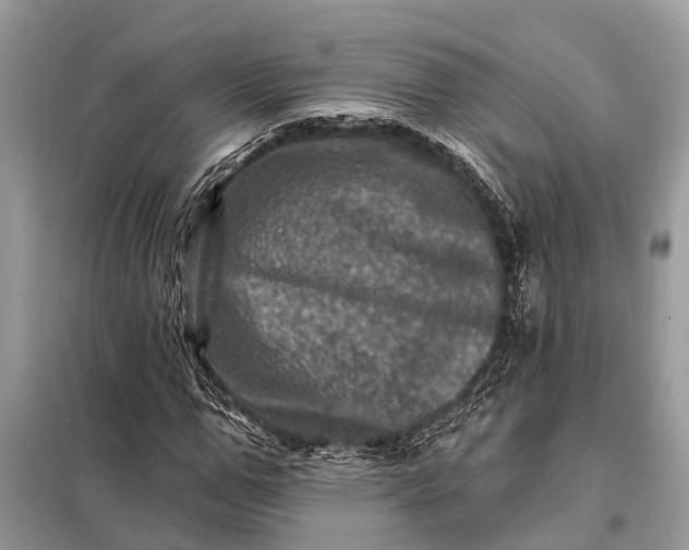 X0000098200967200805081107