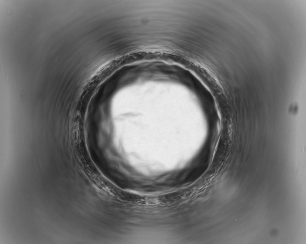 X0000098200968200805081107