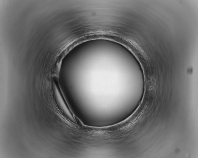 X0000098200969200805081107